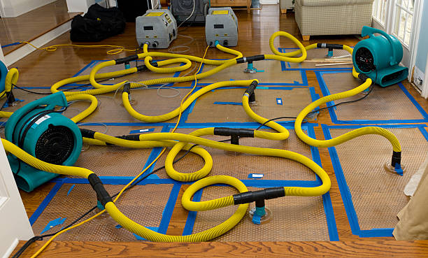 Professional Structural Drying And Dehumidification technician working in Venice, FL